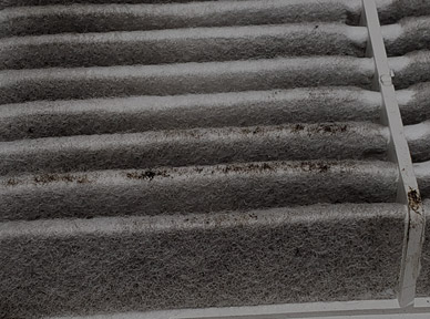 Why Does My A/C Smell Bad?