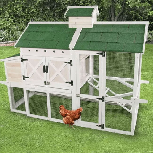 Waterproof outdoor backyard large wooden chicken coop Pet Sleeping