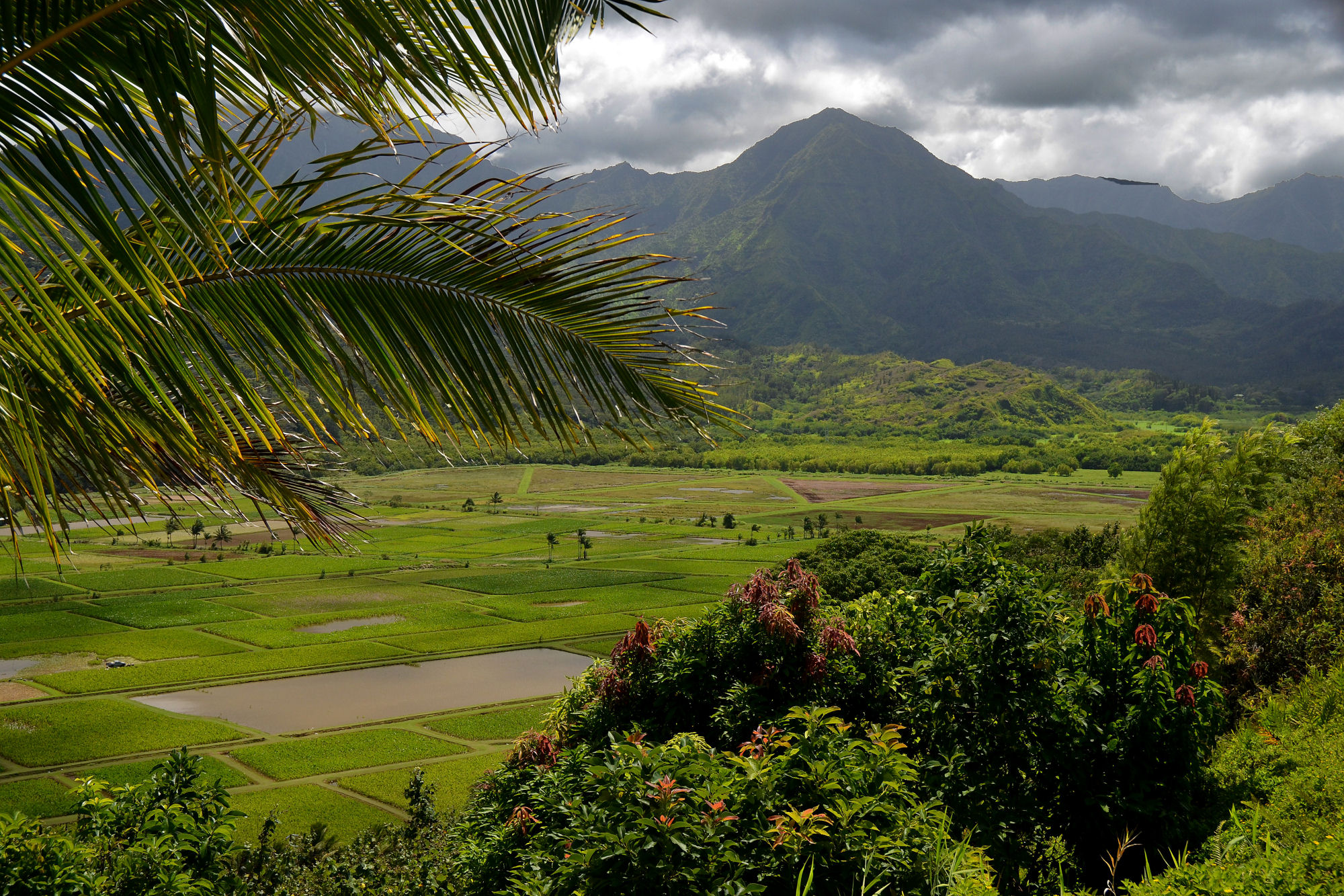 Kauai The Garden Isle of Hawaii September 2011