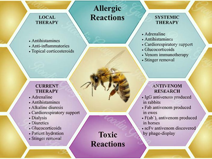 bee venom buyers Roodin Group Co. ,Ltd