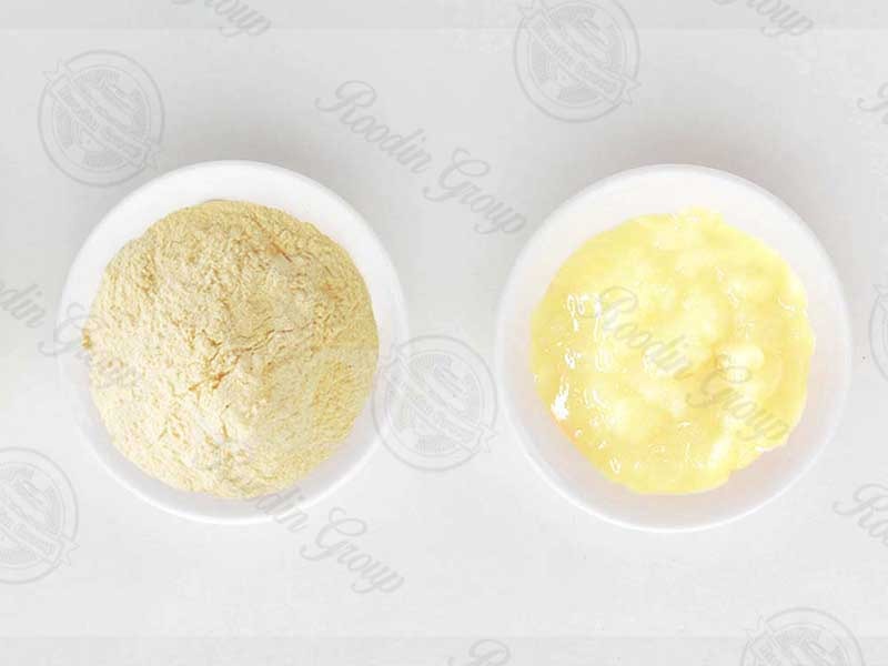 100 Pure Royal Jelly Powder Bulk Wholesale + Royal Jelly Powder Price