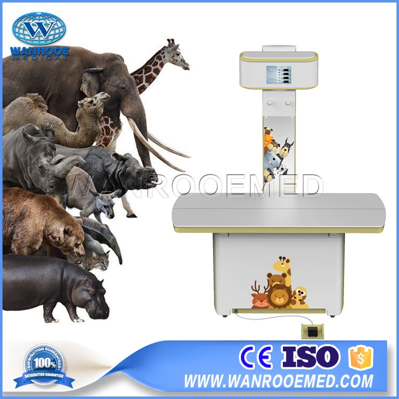 China Veterinary X Ray Machine,Vet Xray Machine, Animal Xray Machine