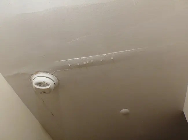 Roof Leaks And Black Mold Eliminate These Threats From