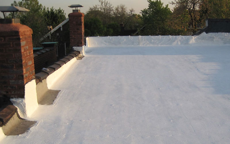 Reflectivity Consumer Roof Coatings Reports