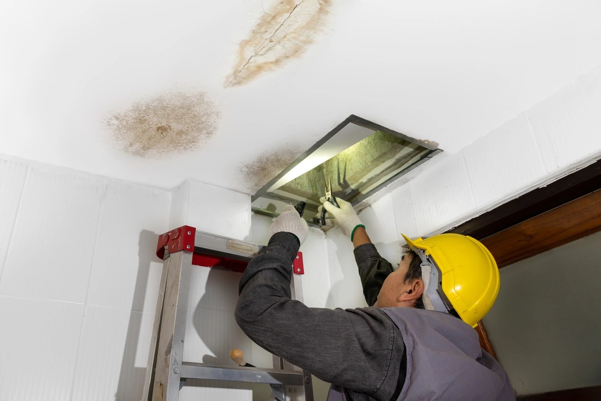 6 TellTale Signs A Roof Leak In Your Attic