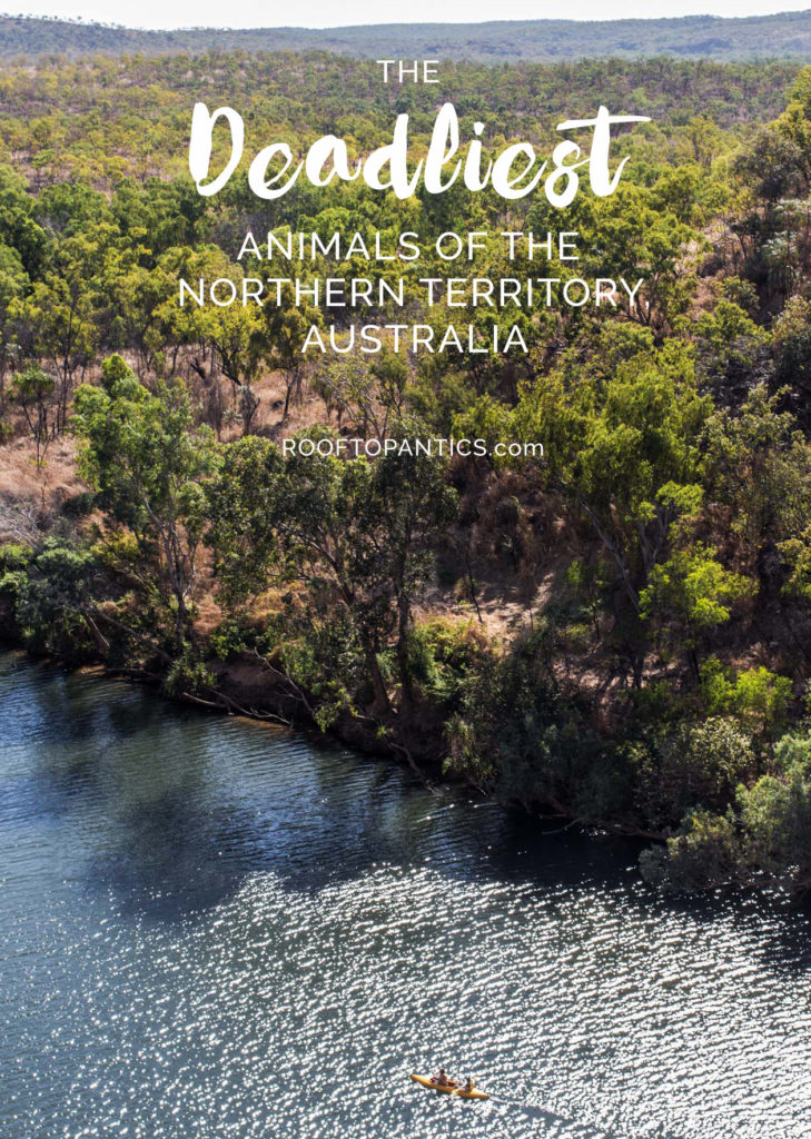 Will a Trip to the Northern Territory, Australia, kill you? Rooftop