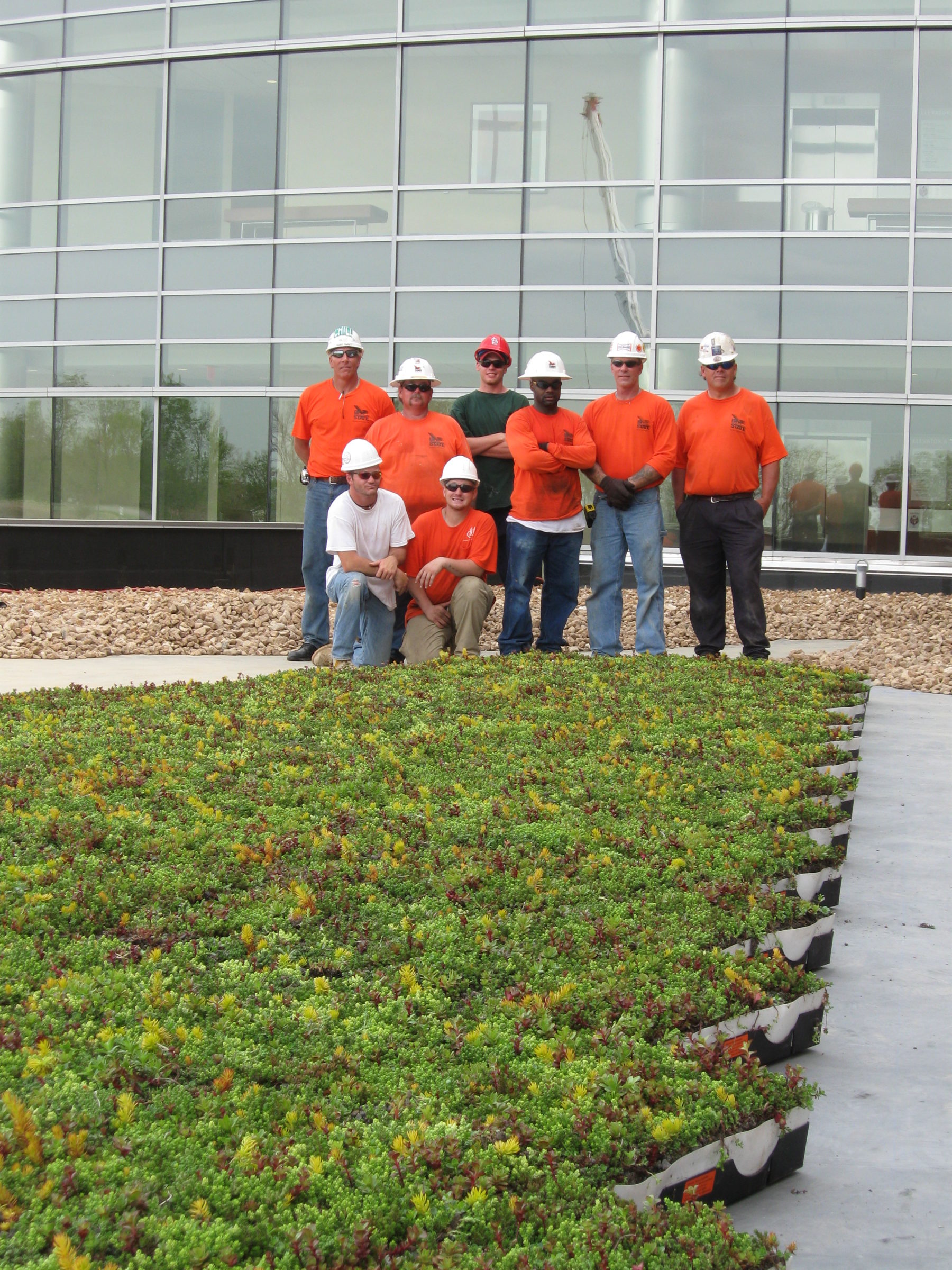SSM St. Clare Health Rooftop Sedums