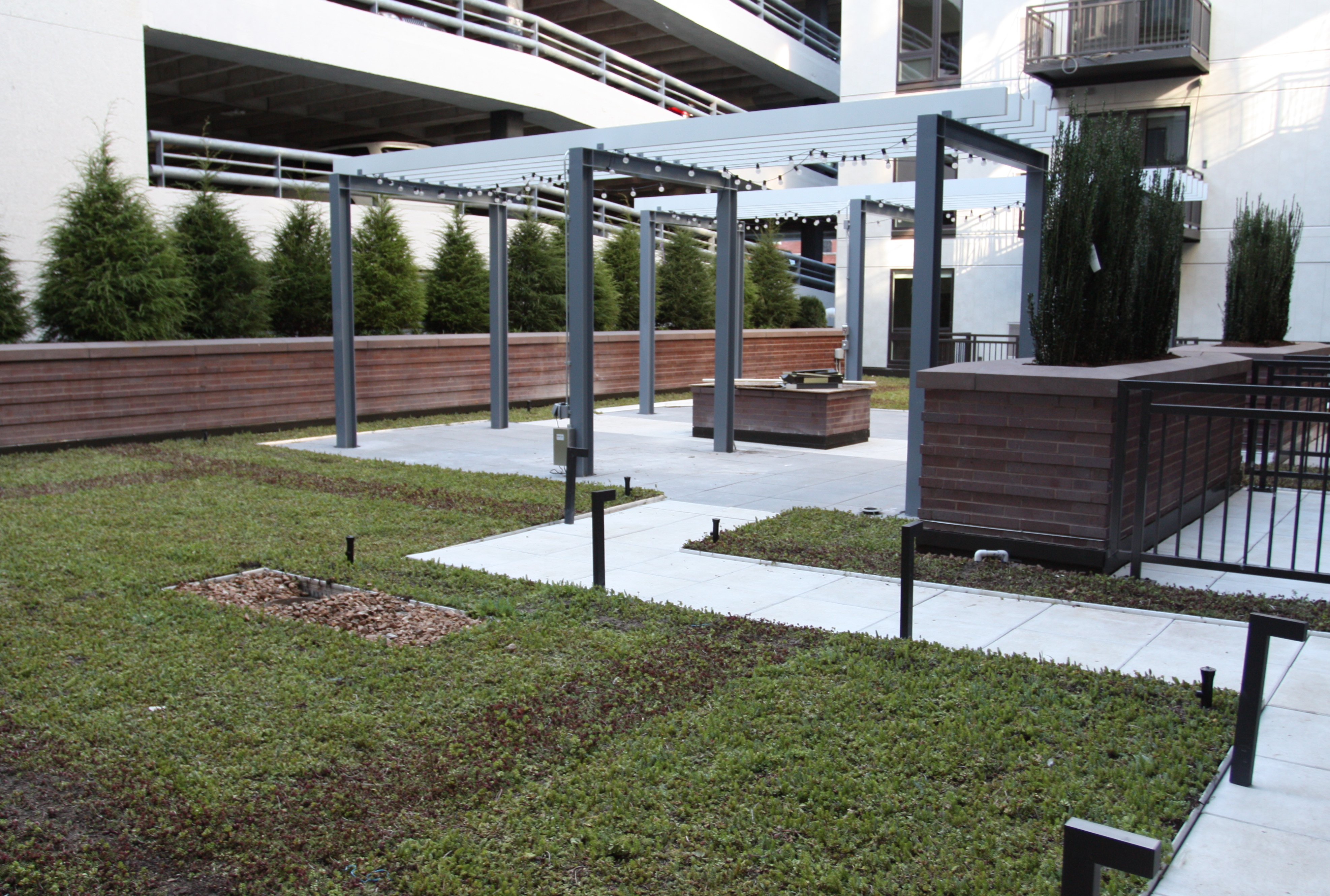 Ceylon Luxury Apartments Rooftop Sedums