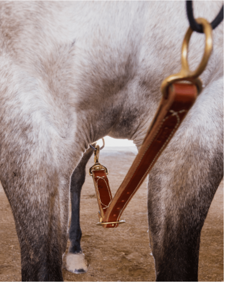 Brain Chain Roohide Saddlery