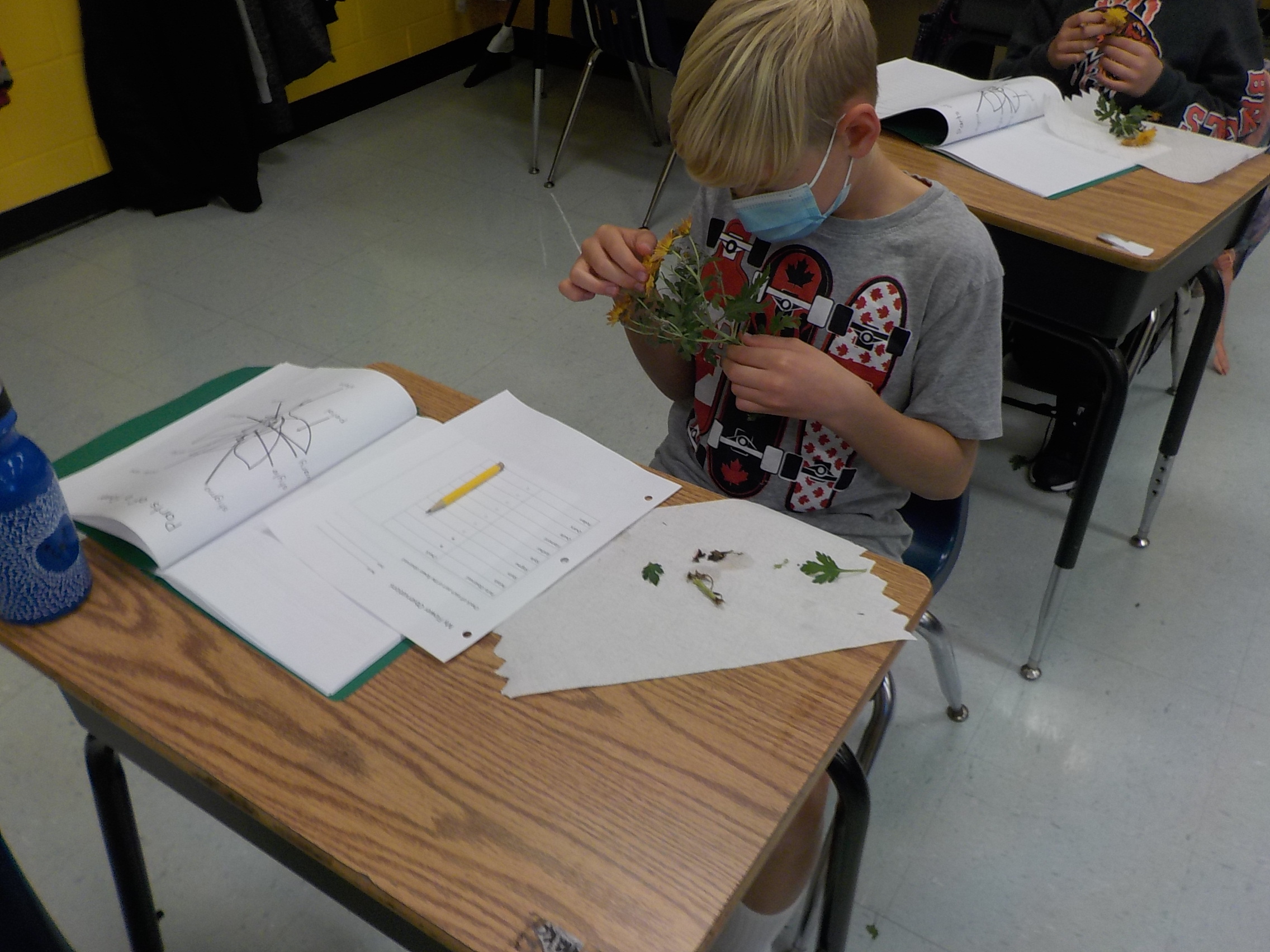 Room10's Blog Follow life in room10, Centennial School, Lac du