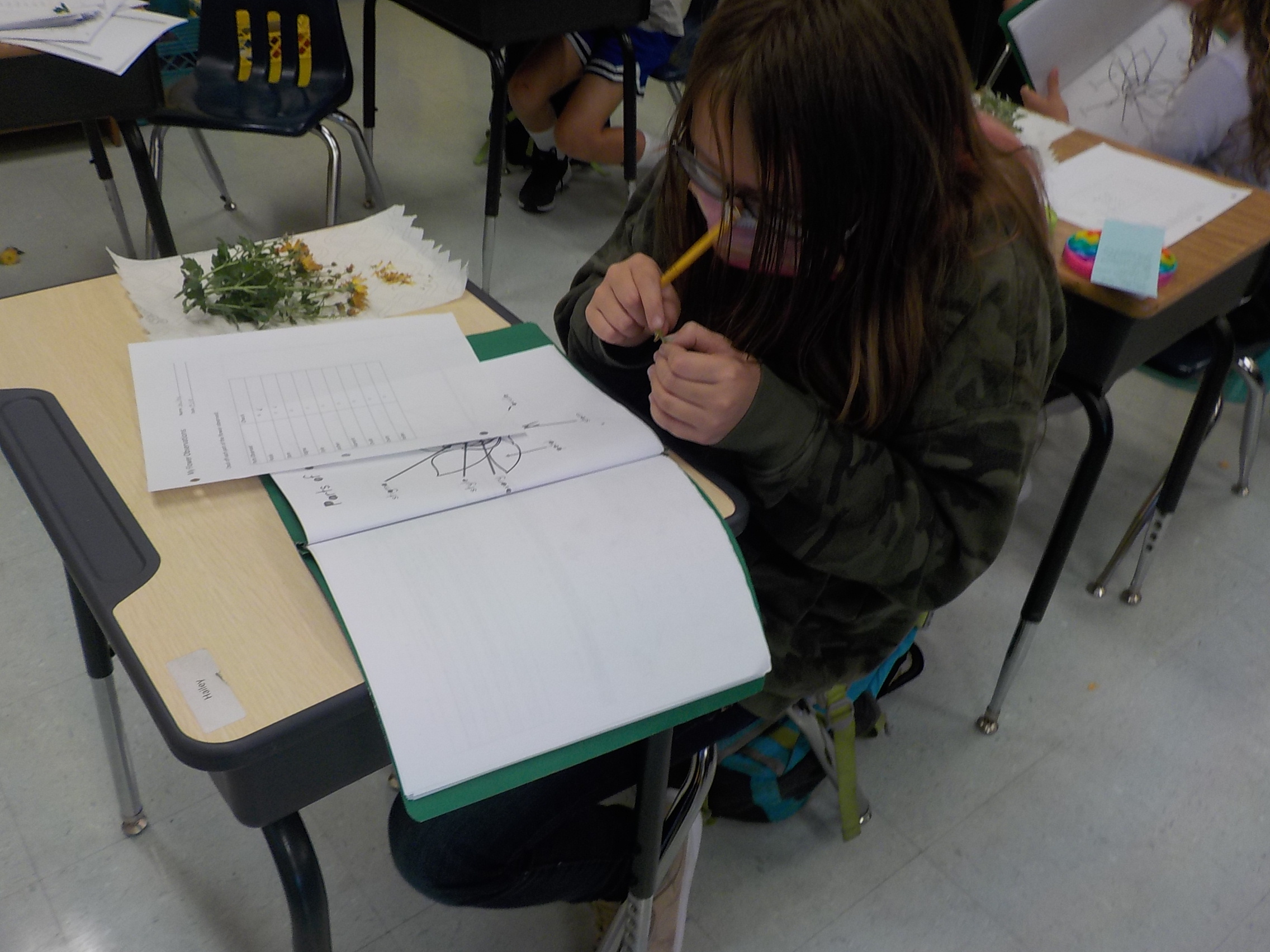 Room10's Blog Follow life in room10, Centennial School, Lac du