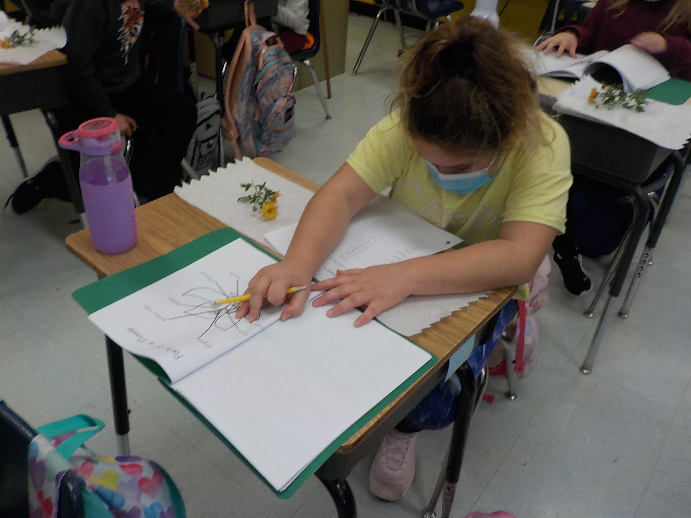Room10's Blog Follow life in room10, Centennial School, Lac du