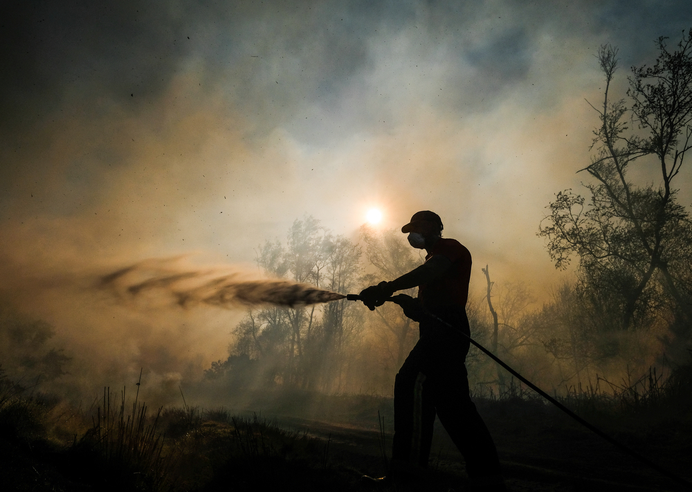 Guisborough Woods on Fire Photography blog