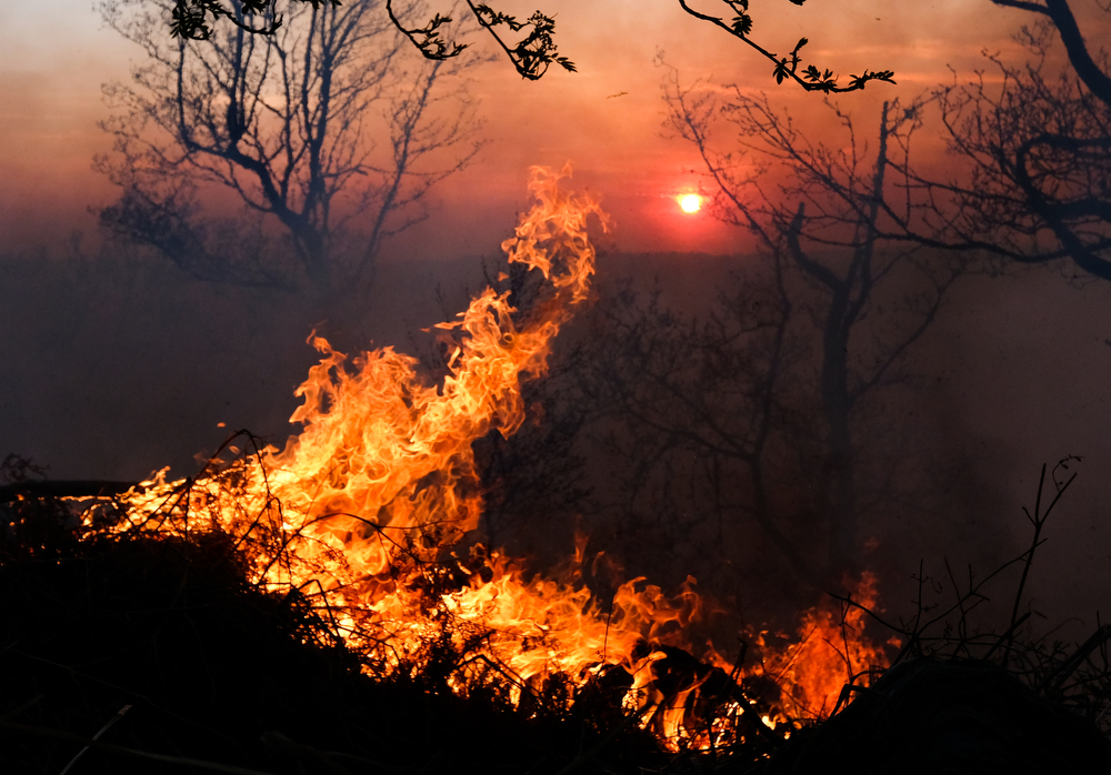 Guisborough Woods on Fire Photography blog