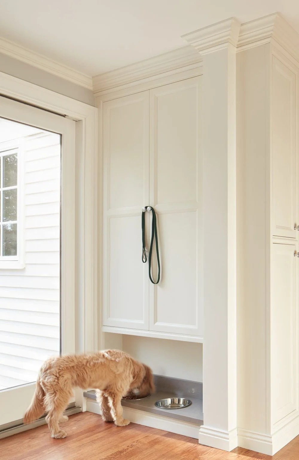 Pet Storage Room For Tuesday