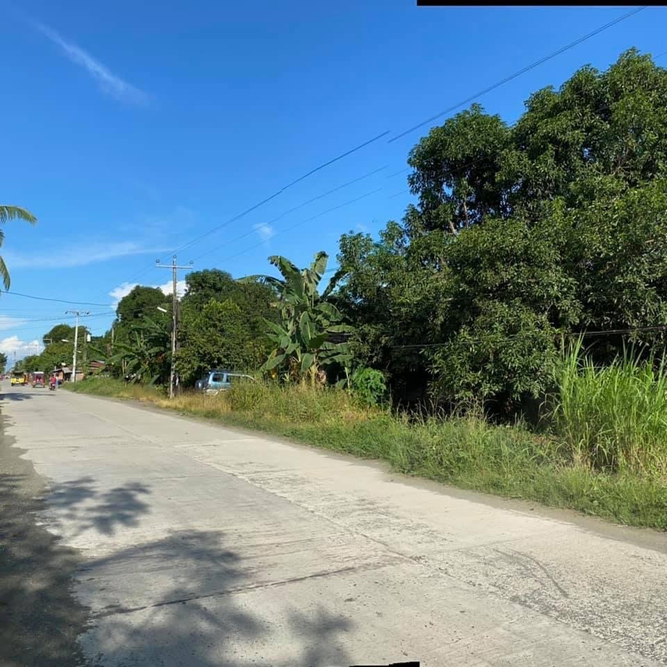 Agricultural Lot at Sto. Tomas, Davao del Norte Room Koe Realty