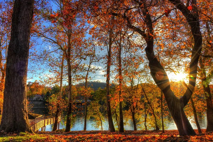 Charleston, WV Insurance Roop Insurance and Financial Services