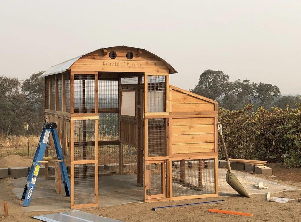 Where to Build Your Chicken Coop Roost & Root