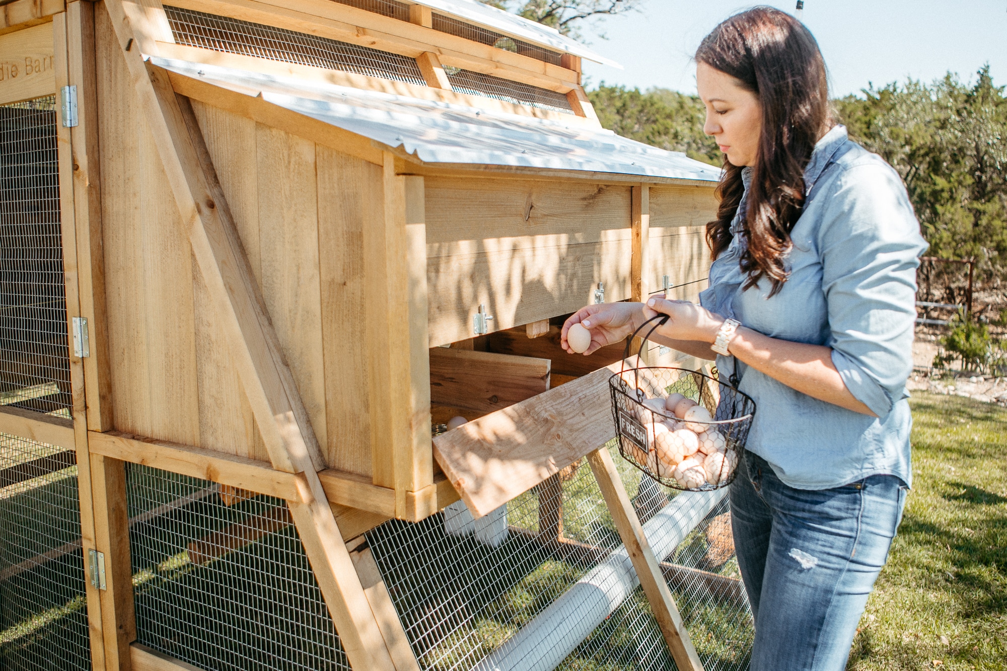 RoundTop Chicken Loft Large Walkin Roost & Root