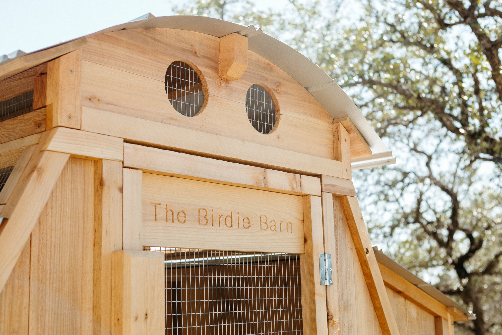RoundTop Chicken Loft Large Walkin Roost & Root