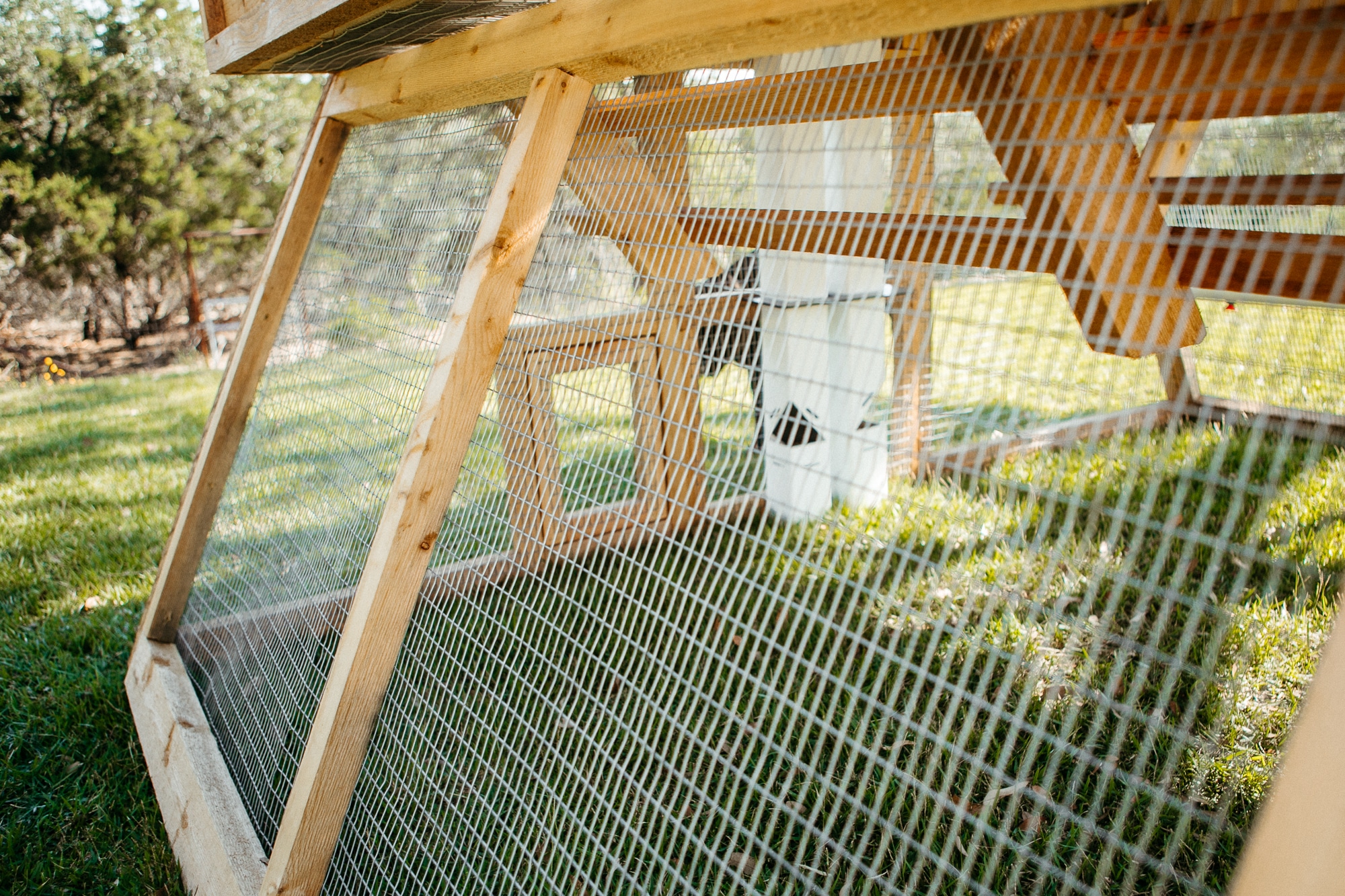 RoundTop Chicken Loft Large Walkin Roost & Root