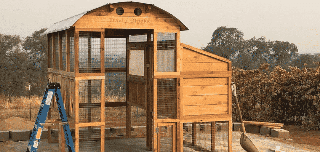 Where to Build Your Chicken Coop Roost & Root