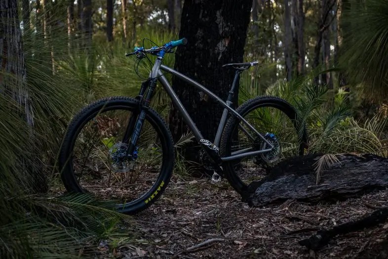 Roost Otho Ti XC Hardtail Frame Roost bike