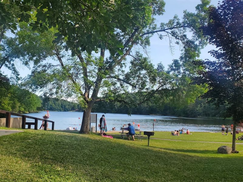 Gilbert State Park Roost with a view