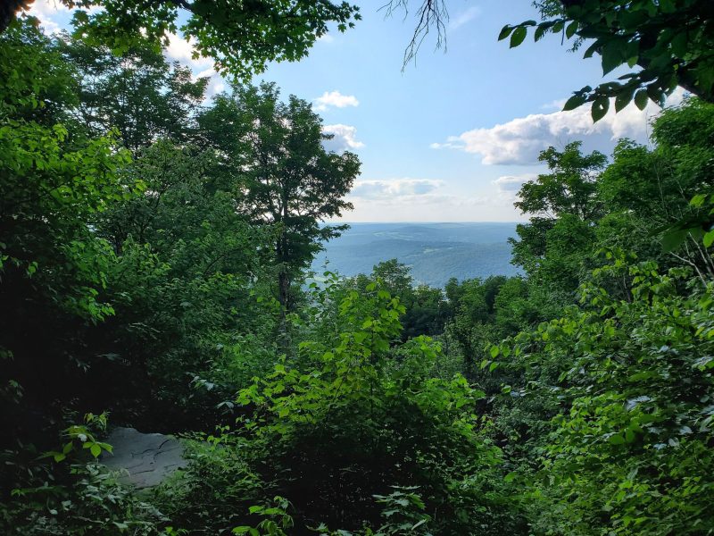 Bramley Mountain Trail Roost with a view