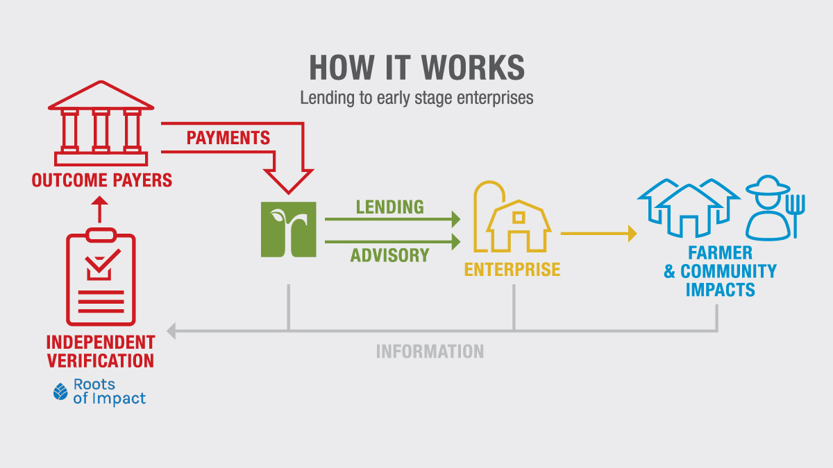 Root Capital Launches Its First PayForImpact Partnership Root Capital