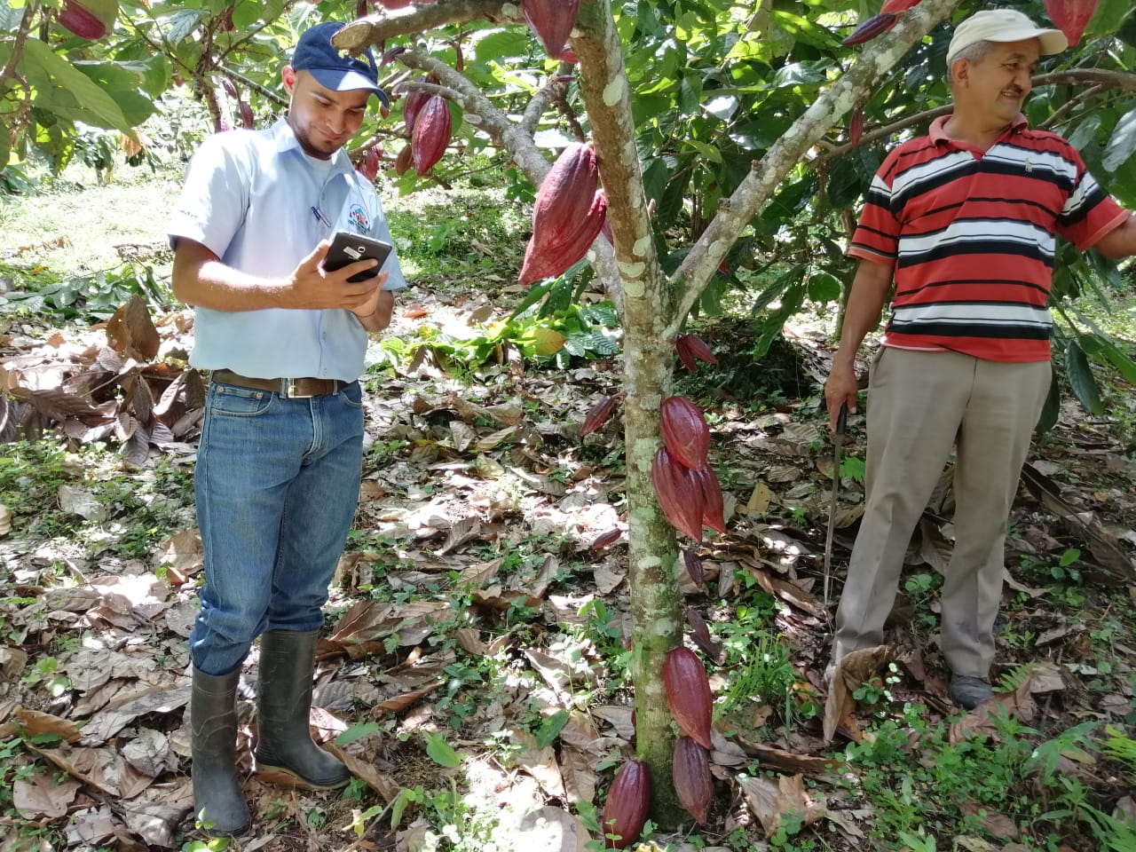 RootCapitalPhoto1 Root Capital