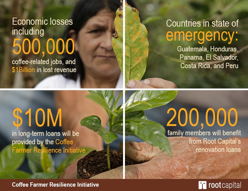 Root Capital Launches 7 Million, MultiYear Initiative to Combat La