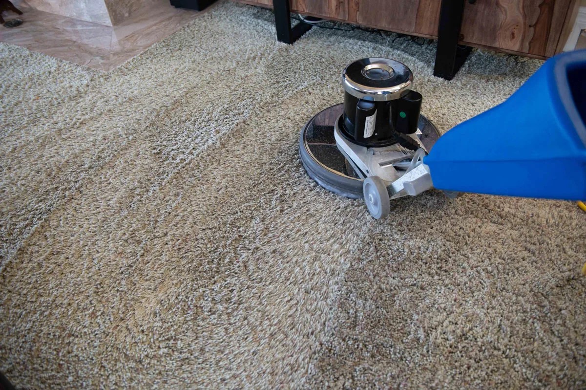 AllergenFree Living How Carpet Cleaning Improves Indoor Air Quality