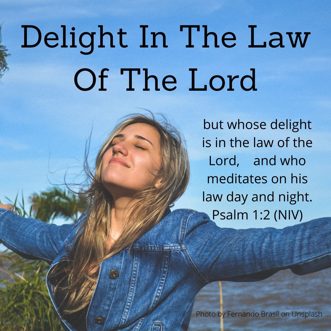 Delight In The Law Of The Lord Rooted, Built, Established