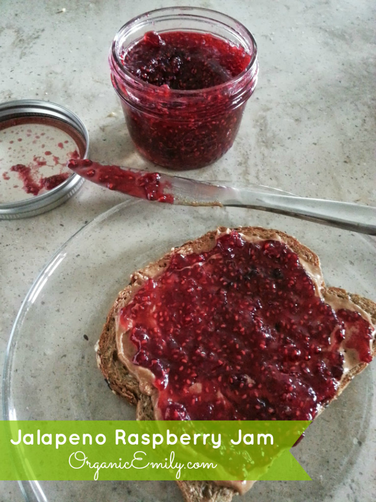 Raspberry Jam (with or without jalapenos) Rooted Emily
