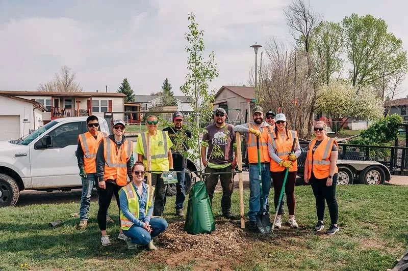 Free Tree Program Rooted In Cheyenne