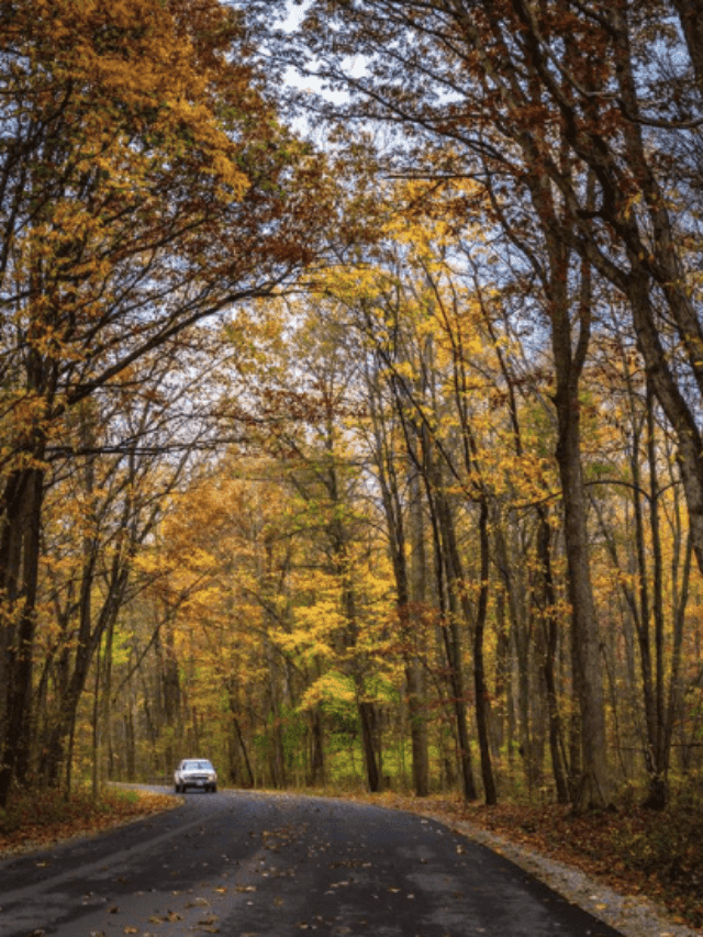 7 Best Places to Enjoy Ohio Fall Colors