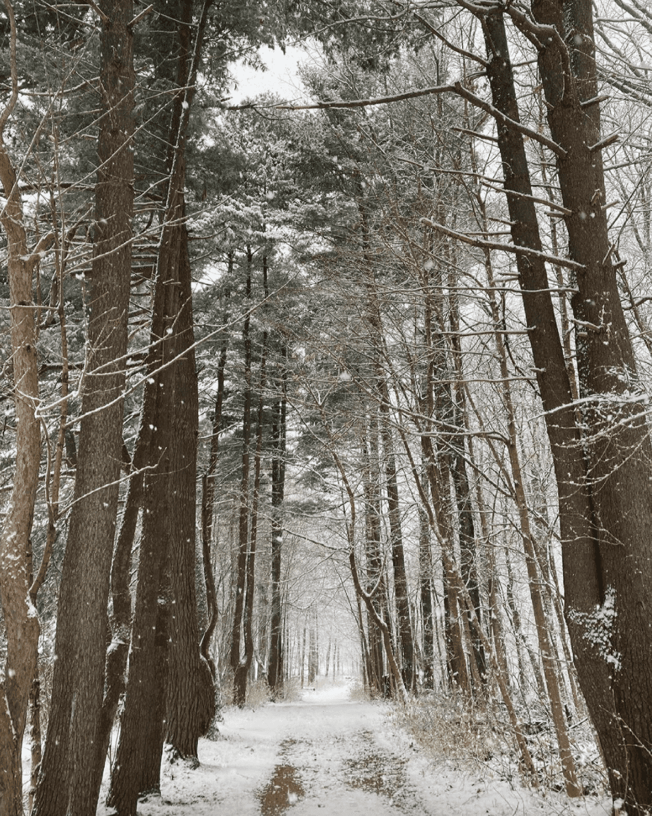 25 Spectacular Places to Visit in Ohio in Winter This Year