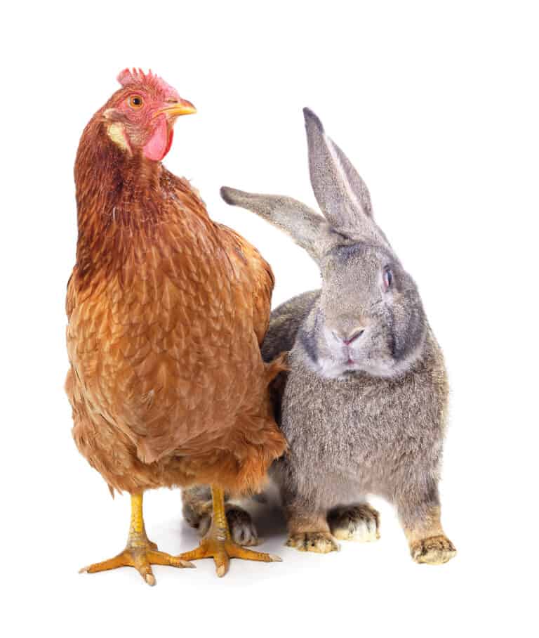 25 Weird Laws in Ohio to Know