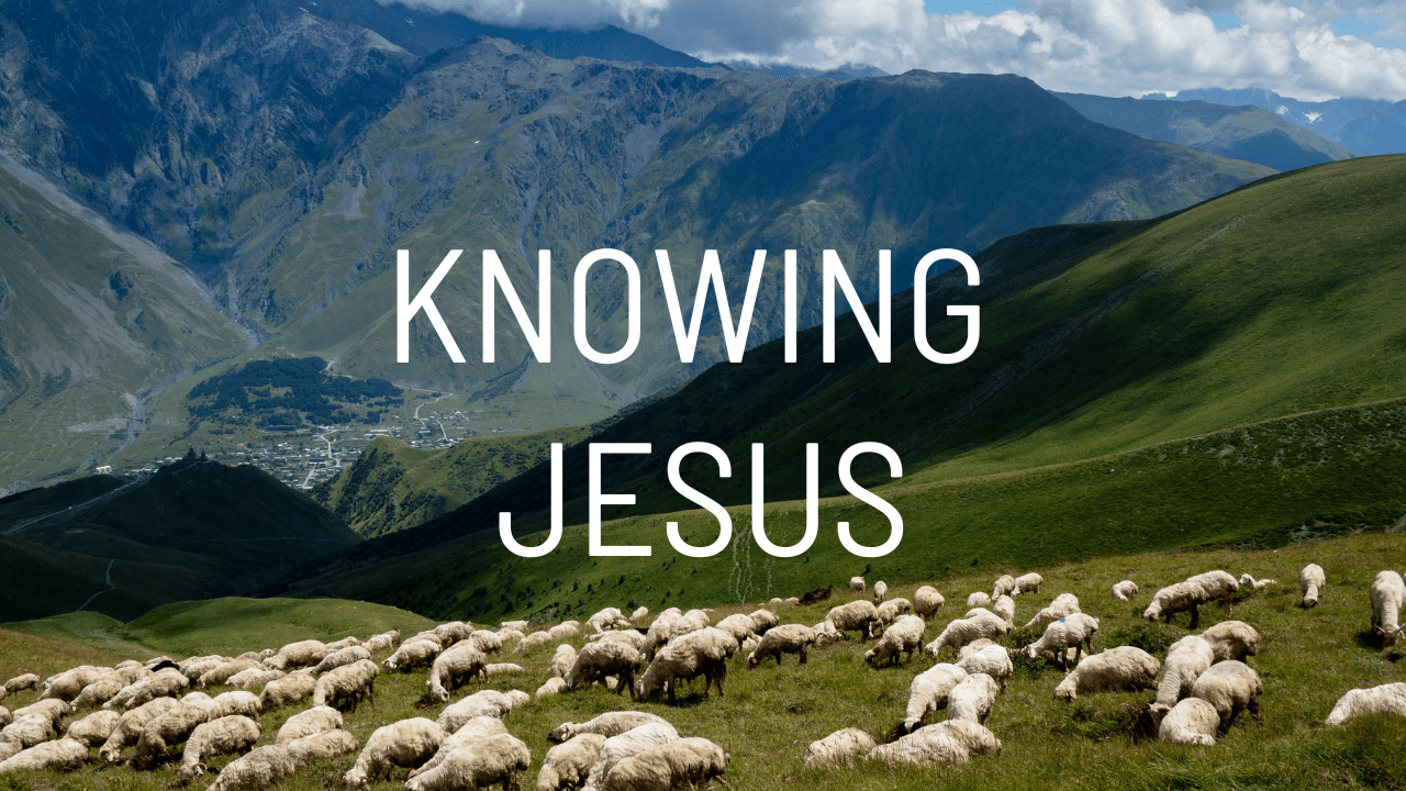 "Knowing Jesus" Curriculum SneakPeek Rooted Ministry