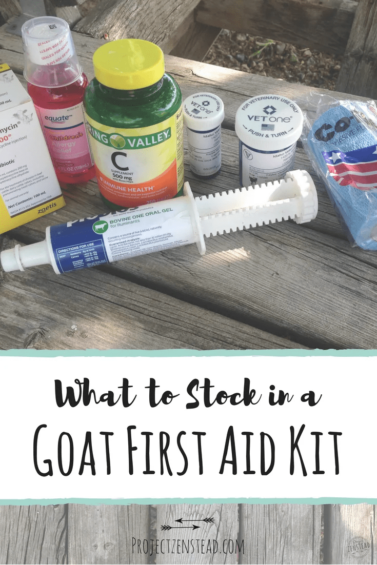 Goat first aid kit PIN Rooted Revival