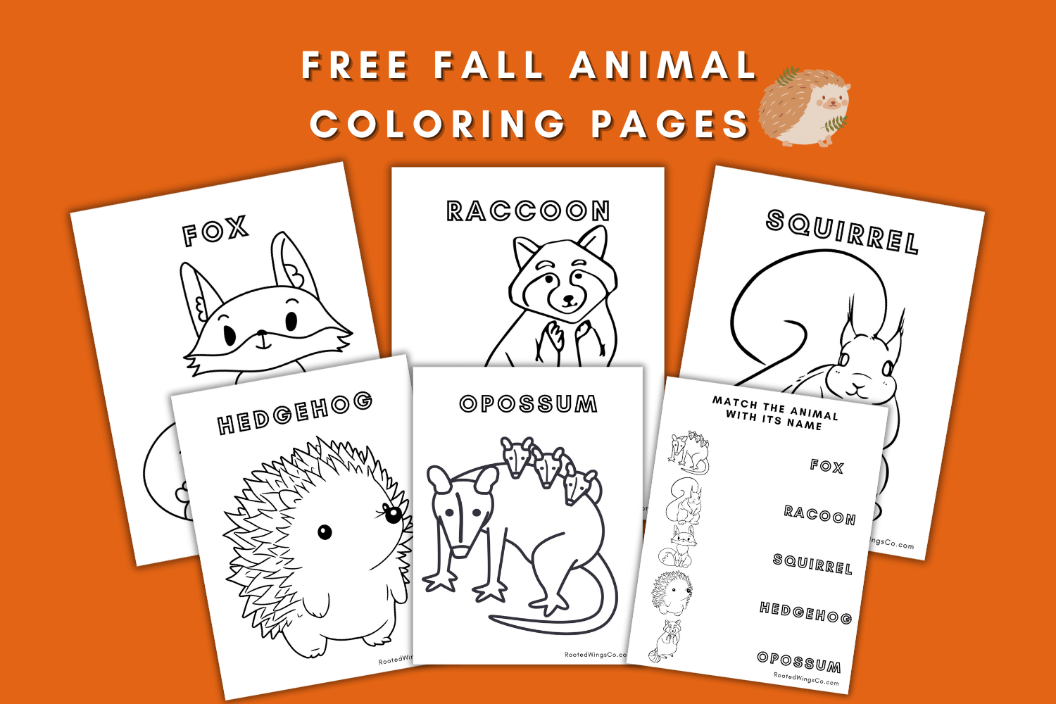 Free Fall Animal Coloring Pages - Rooted Wings Co