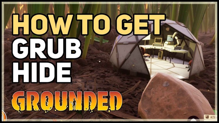 Where to Find Grubs and Grub Hide in Grounded TechRoot