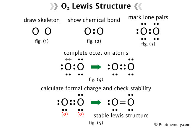 Lewis structure of O2 - Root Memory