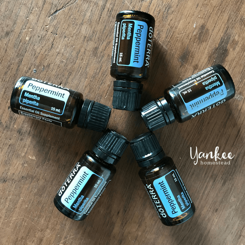 28 Ways to Use Peppermint Oil Roots & Boots