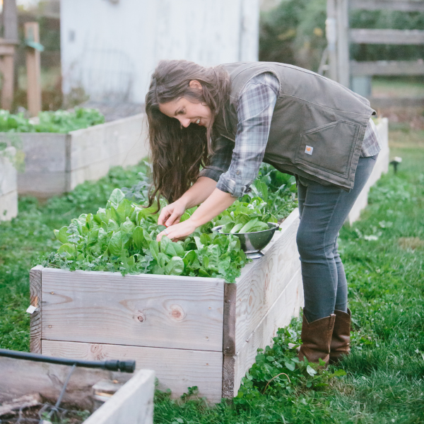 5 Ways to Prepare Garden Beds for Winter Roots & Boots