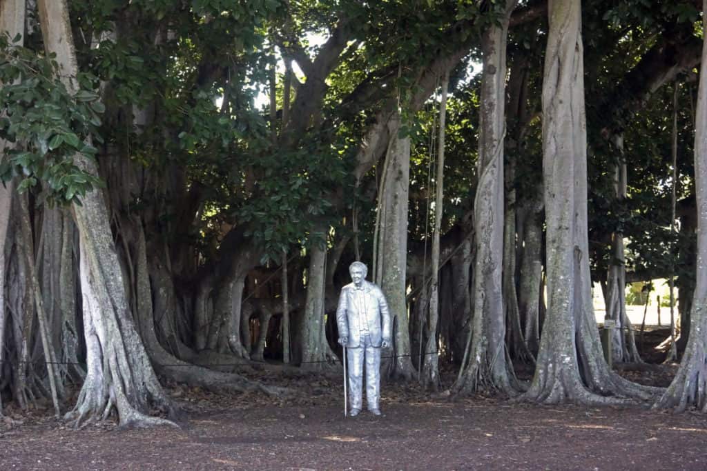 The Complete Guide to Visiting Mina Edison's Moonlight Garden ⋆ Roots