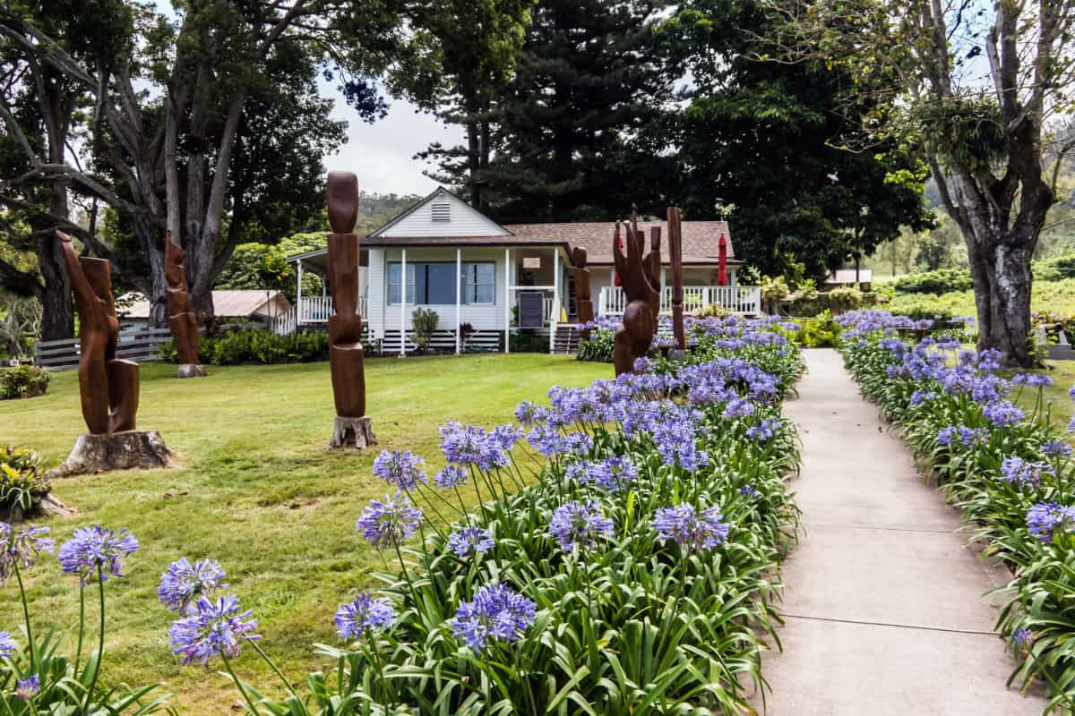 Time to Plant Summer Blooming Bulbs ⋆ Roots and Maps