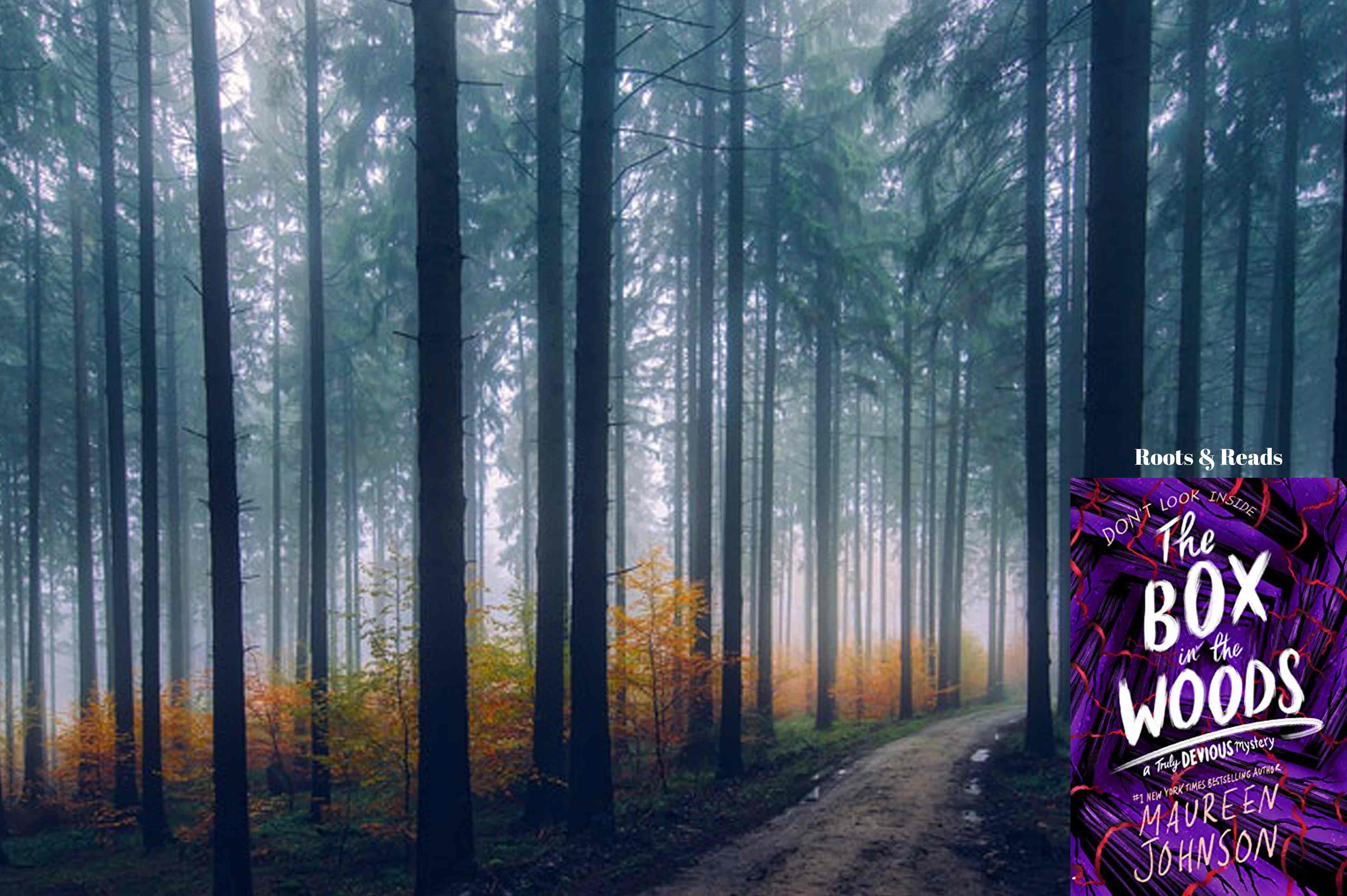 Review The Box in the Woods Roots & Reads