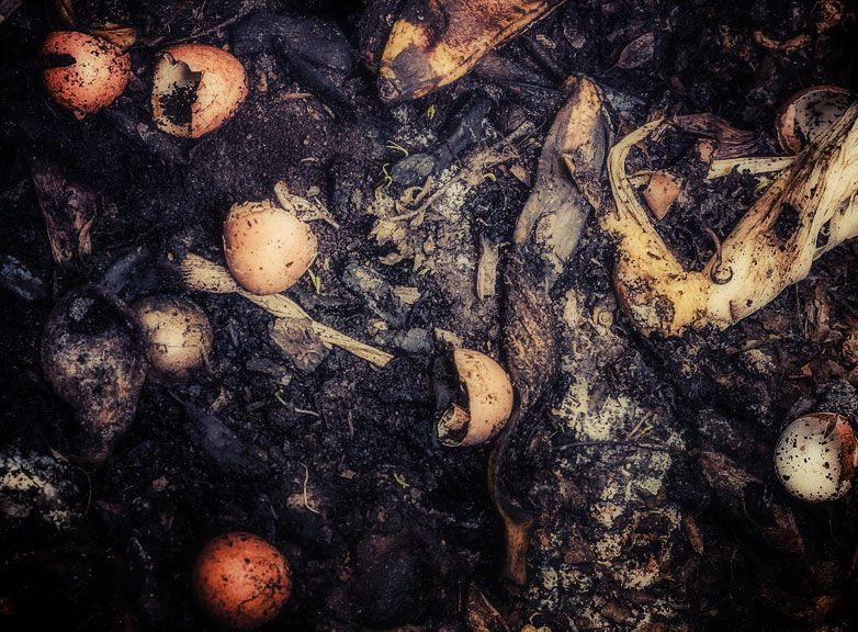How to Compost Without a Bin Roots Nursery